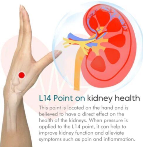 BUY  1 GET  1 FREE DEAL – SUGAR CONTROL LI4 ACUPRESSURE POINT CLIP (THUMB SHAPE ORIGINAL MAGNETIC)